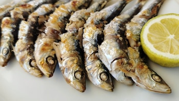Sardinas: propiedades, beneficios y contraindicaciones de uno de los pescados más consumidos en España