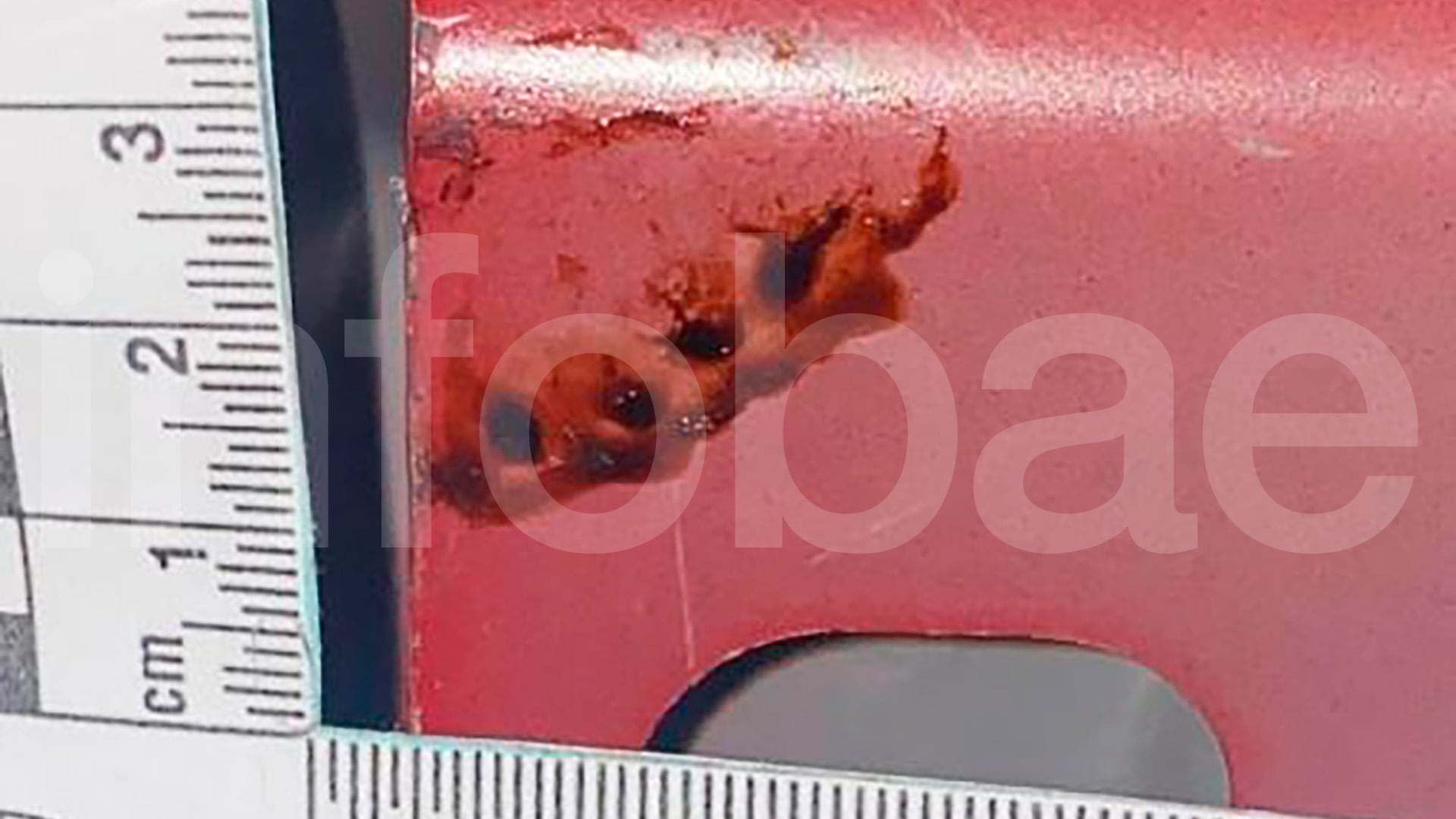 Un rastro detectado en el Ford Ka rojo perteneciente a Caillava y Pérez