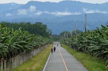 Las autoridades atribuyen el aumento