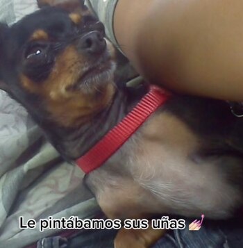 En otro video mostró como