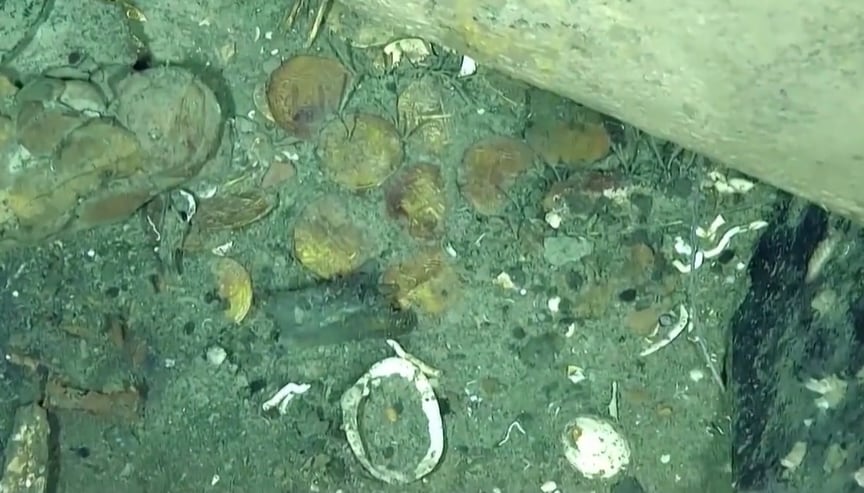 Restos del barco francés Le Prince de Conty. (CBS)