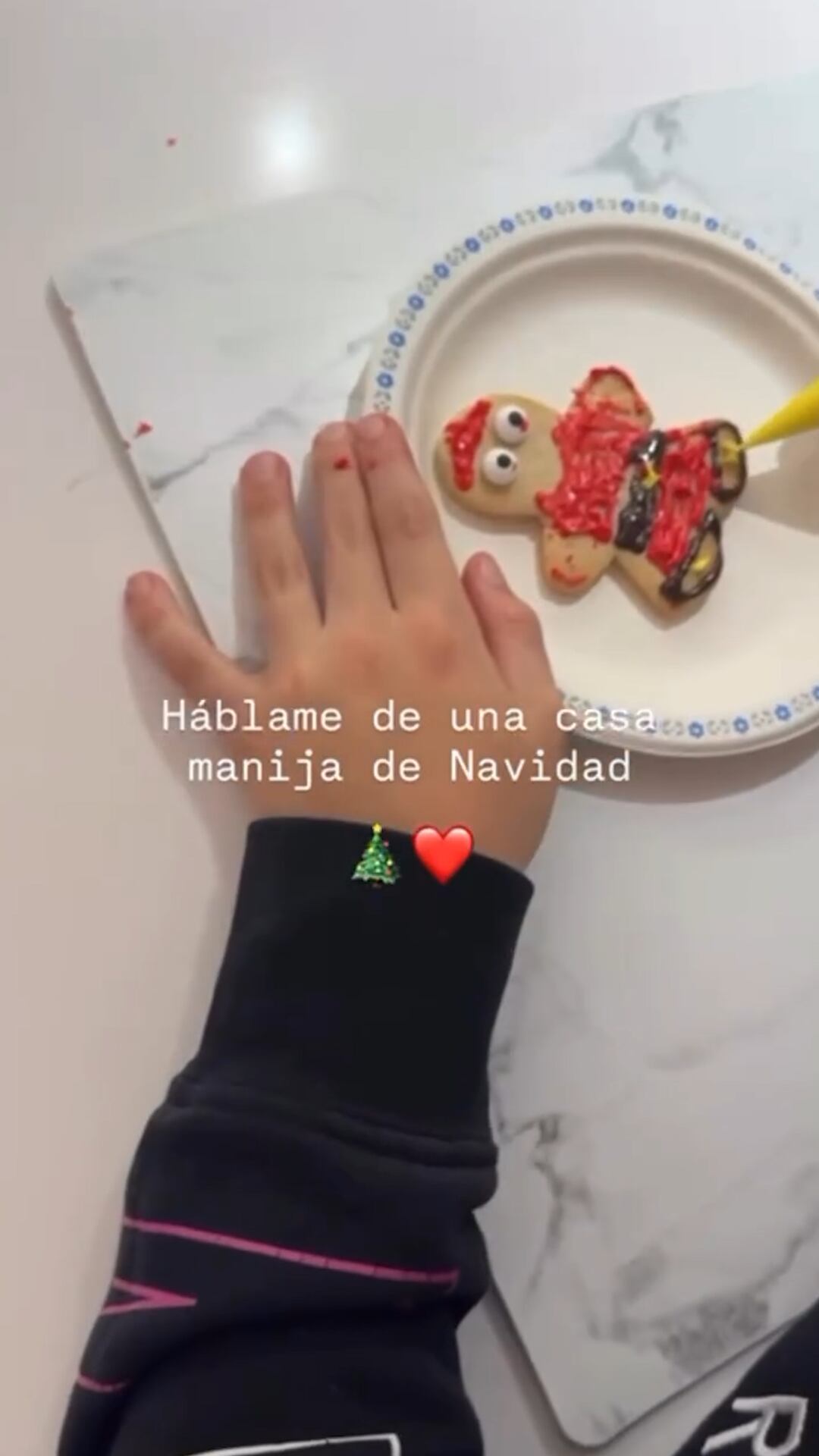 Los hijos de Luisana Lopilato prepararon su casa para Navidad, y en especial Noah sorprendió por un detalle argentin (Instagram)