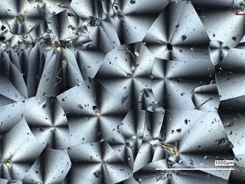 Imagen microscópica en escala de grises con patrones geométricos radiales y una barra de escala etiquetada como 1000 micrómetros