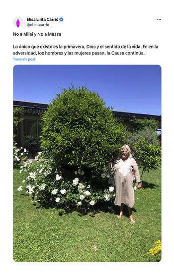 El posteo de Elisa Carrió