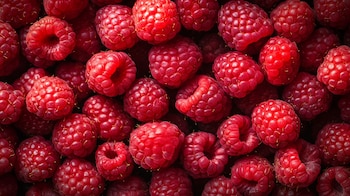 El trabajo conjunto entre la