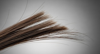Un mechón de cabello castaño sobre un fondo degradado, con hebras de distintas longitudes que presentan signos de fractura.