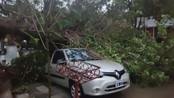 Más imágenes de los daños