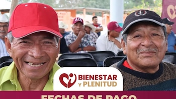 Programa Bienestar y Plenitud 2026: