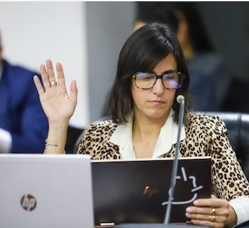 La consejera Jimena de la Torre, coordinadora del Comité de Innovación, invitó a Santiago Viola para que presente ante ese espacio el plan de implementación del Expediente Digital Administrativo (EDA (Gentileza: Consejo de la Magistratura)