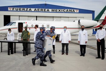 Continuamente se reciben cargamentos de