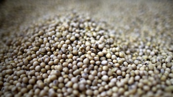 Créditos más baratos para el agro: el BCRA derogó una norma que penalizaba el acopio de soja y trigo