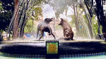 Wie Coyoacán vor 100 Jahren