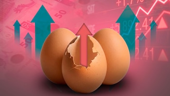 Aumento del precio del huevo en México: Guía práctica para comprarlo más barato