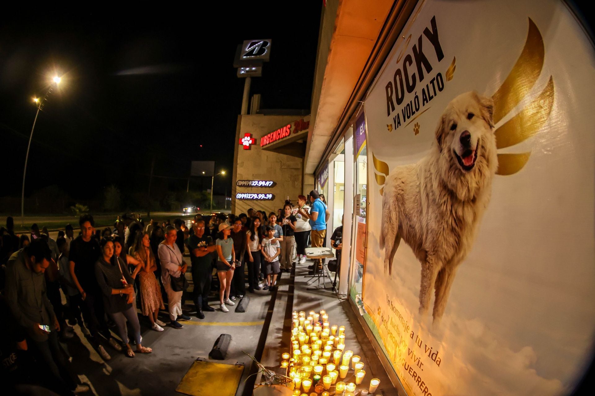 SALTILLO, COAHUILA, 22JULIO2026.- Personas instalaron un altar en honor al perro Rocky, quien murió tras ser arrastrado por varias calles, atado a una camioneta. Veterinarios lo atendieron durante tres días, pero no pudieron salvarle la vida. La responsable se encuentra detenida y los asistentes exigieron que las autoridades castiguen el caso conforme a la ley. El altar fue colocado en la clínica veterinaria que lo atendió de manera gratuita. FOTO: ALEJANDRO RODRÍGUEZ/CUARTOSCURO.COM