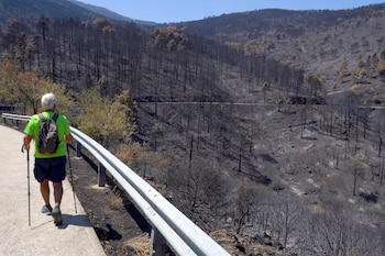 Un hombre practica senderismo este lunes por una de las zonas afectadas por el incendio de Burgohondo en el entorno de el Valle de Iruelas. (EFE/Raúl Sanchidrián)
