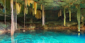 Interior de cueva con cuerpo de agua turquesa, estalactitas verdes y amarillas, y raíces largas que penden del techo hasta el agua