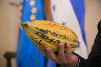 La Unión Europea financia un acompañamiento técnico con el objetivo de superar brechas históricas de acceso a tecnología, financiamiento y formación en desarrollo rural. (Foto: Casa Presidencial)
