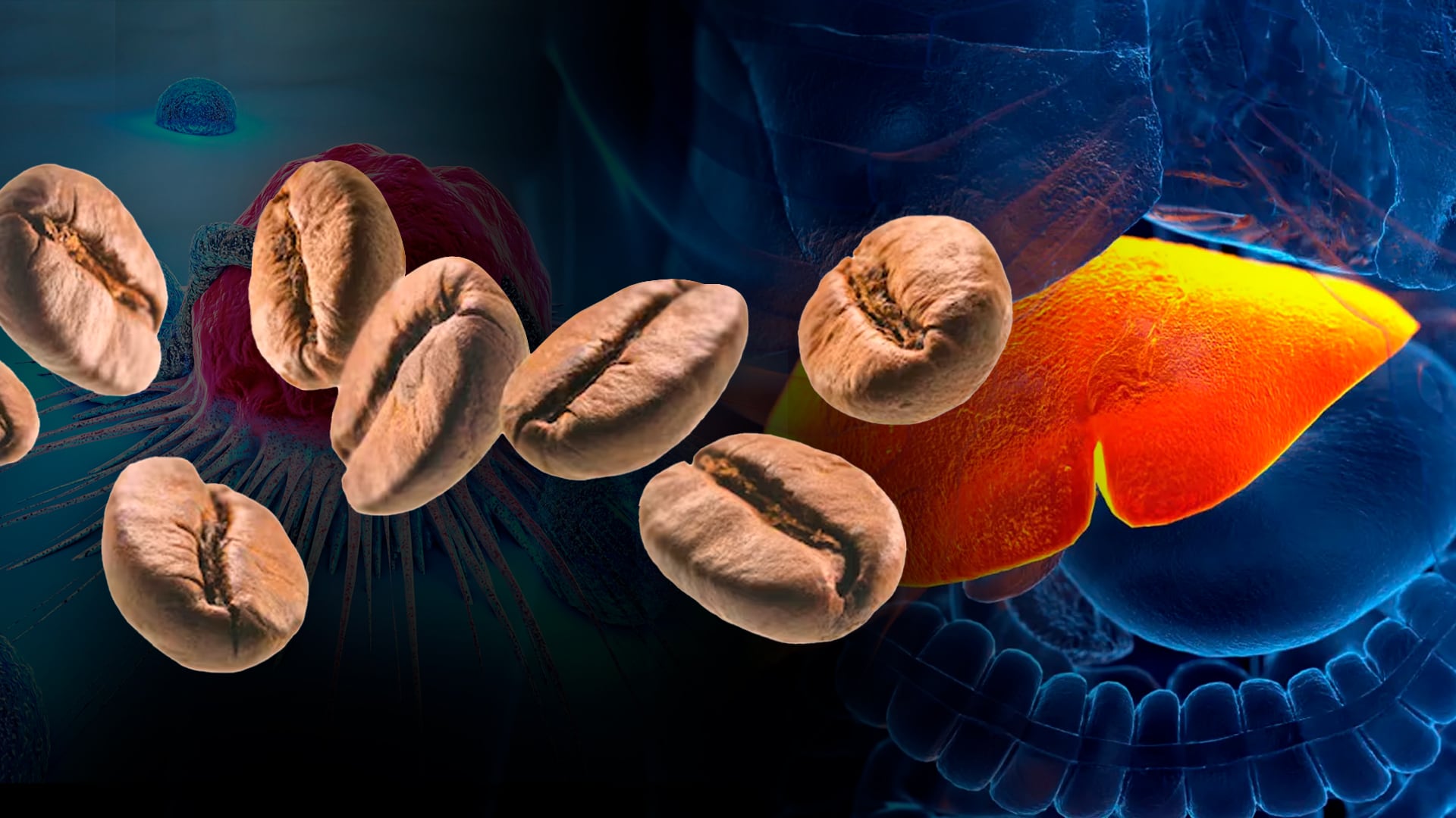 Hígado graso: cuál es el consumo diario sugerido de café para reducir la inflamación