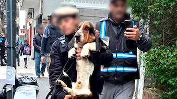 Desmantelaron un criadero ilegal en Almagro: imputaron al dueño por maltrato animal y rescataron 14 perros