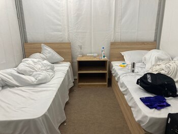 Así son las carpas por