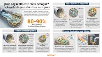 Infografía sobre biopelículas en desagües con ilustraciones de tuberías, componentes moleculares, microorganismos, detergente y una persona limpiando un fregadero.