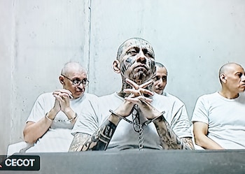 Más de 10 testigos proporcionaron detalles ante el tribunal sobre órdenes emitidas por líderes de la MS-13 para cometer diversos delitos. (Foto: FGR)