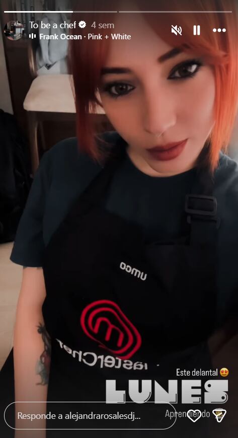 En las historias destacadas de Alejandra Rosales aparece usando un delantal de MasterChef - crédito @alejandrarosalesdj/Instagram