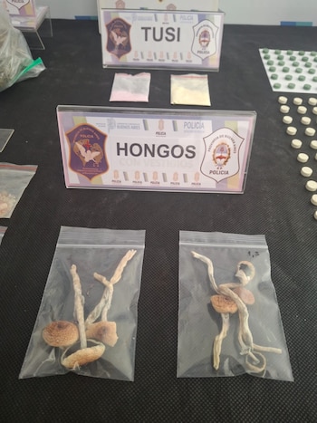 En los operativos también se