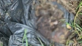 Comunidad encontró cabeza humana en