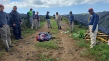 Honduras: Rayo mata a trabajador agrícola durante tormenta en Atlántida