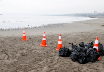“Pañales entre los residuos más
