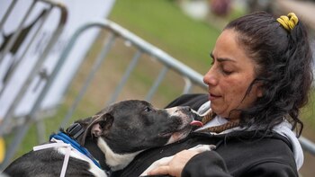 Gran campaña veterinaria gratuita para