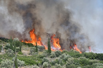 Unos 325 bomberos con casi 100 camiones operan sobre el terreno (EFE/EPA/BOUGIOTIS EVANGELOS)