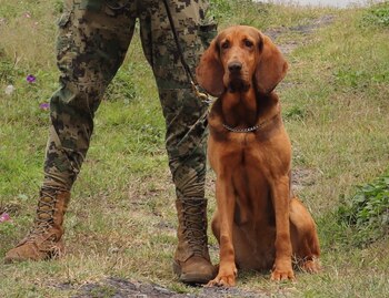 Max, la binomio que localizó