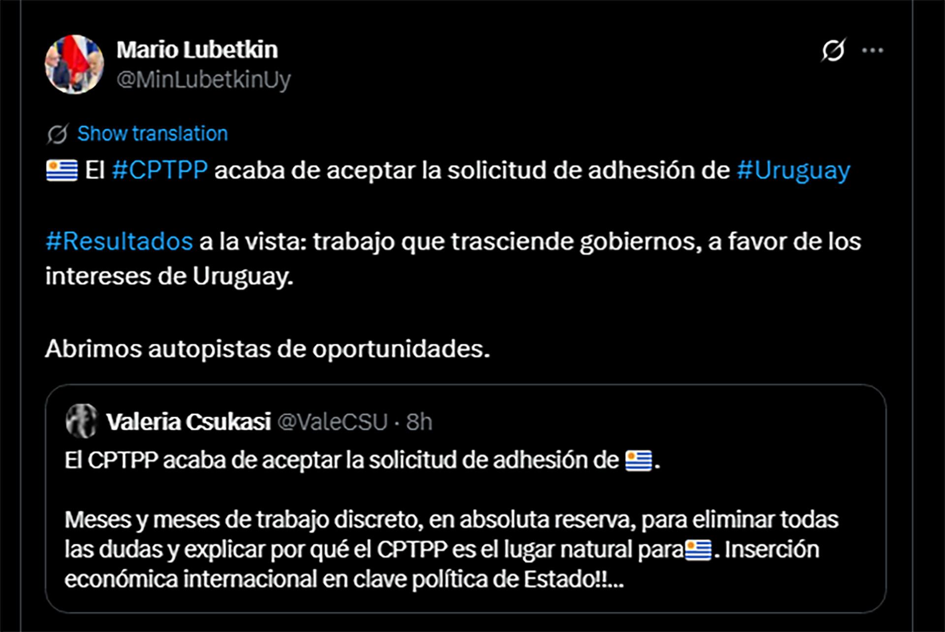 El mensaje del ministro de Relaciones Exteriores de Uruguay, Mario Lubetkin
