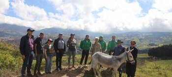 Burra Kaliope fue atendida a