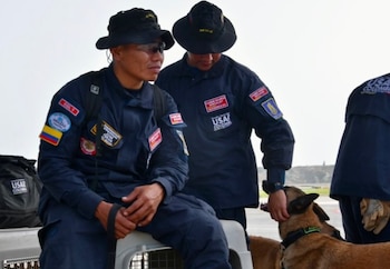Rojo, Candy, Dasta y Tamy: los perros rescatistas que Colombia envió a Venezuela tras los terremotos - crédito @ungrd_oficial/IG