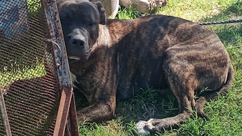 Córdoba: un hombre de 76