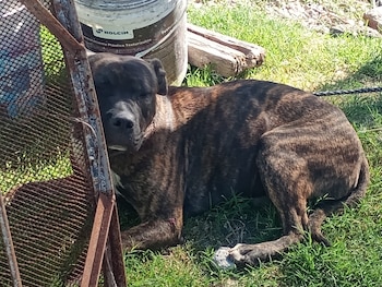 El ataque ocurrió en el