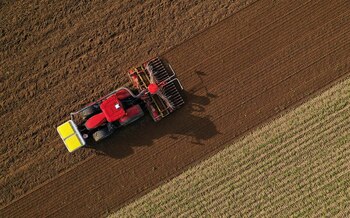 Entre los principales puntos a