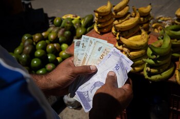 Cerca de 1,2 millones de ciudadanos venezolanos residen en Perú de acuerdo con estimaciones basadas en registros de 2025. EFE/ Rayner Peña R.