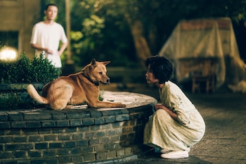 Hachiko 2: Siempre a tu