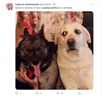 Usuarios en redes sociales se