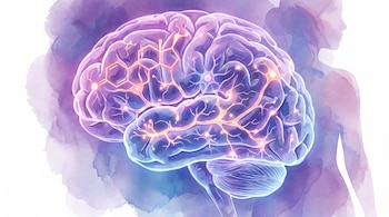 Ilustración de un cerebro transparente iluminado con una fórmula química y redes neuronales, junto a la silueta de una mujer.