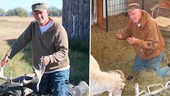 La clonación del animal denominado