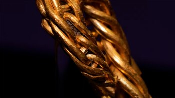 La exhibición del brazalete fortalece