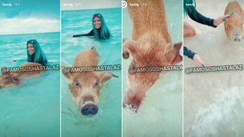 Acusan de maltrato animal a