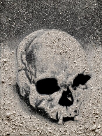 "Luzia, Fire in the Museum",