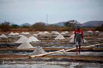 Julio Pinzón González, un salinero