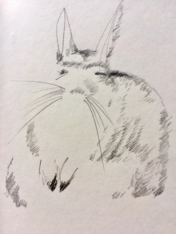 Como científica, Saragüeta decodificó el